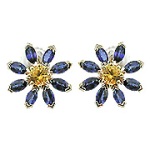 Daisy Yellow and Blue Marquise Sapphire Earrings